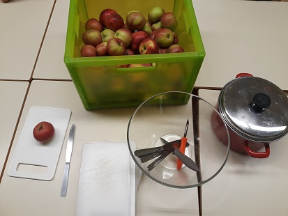 2020 09 11_pour faire de la compote -notre récolte (2)